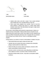 Referāts 'Bērnu - kreiļu integrēšanās mācībām sākumskolā', 17.