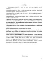 Referāts 'Bērnu - kreiļu integrēšanās mācībām sākumskolā', 28.