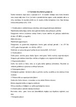 Referāts 'Bārmeņa profesija un profesijā iespējamie riski, to mazināšanas pasākumi', 5.