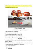 Referāts 'Bārmeņa profesija un profesijā iespējamie riski, to mazināšanas pasākumi', 10.