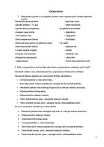 Konspekts 'Mājas darbi priekšmetā "Nekustamā īpašuma ekonomika"', 8.