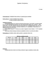 Paraugs 'Savācējlēcas fokusa attāluma un optiskā stipruma noteikšana', 1.