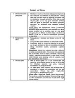 Paraugs 'Dažādi uzskati par bērnu', 1.