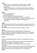 Prezentācija 'Grāmatvedības prakses prezentācija', 17.