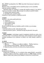 Prezentācija 'Grāmatvedības prakses prezentācija', 19.