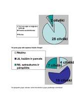 Referāts 'Gripa un putnu gripa', 21.