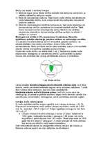 Referāts 'Mežu nozīme', 3.