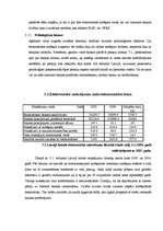 Referāts 'Elektroniskie norēķini Latvijas komercbankās', 19.