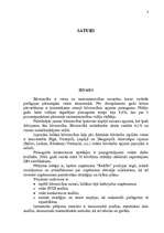 Referāts 'Stratēģijas izvēle un realizēšana būvniecības uzņēmumā', 3.