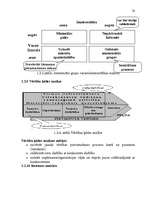 Referāts 'Stratēģijas izvēle un realizēšana būvniecības uzņēmumā', 20.