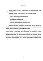Referāts 'Kreiļi X skolā un viņus raksturojošās iezīmes', 2.