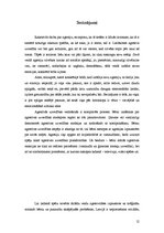 Referāts 'Agresija, tās cēloņi, psiholoģiskā iedarbe, pārvarēšana', 12.