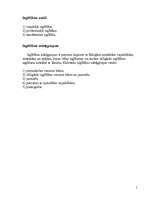 Referāts 'Izglītības koncepcija', 5.