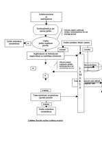 Diplomdarbs 'Kredītmenedžmenta nepieciešamība uzņēmumā', 85.
