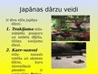 Prezentācija 'Japānas sausie dārzi', 4.