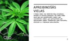 Prezentācija 'Apreibinošās vielas', 2.