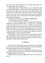 Referāts 'Tūrisma un atpūtas iespējas Grobiņas pilsētā un Grobiņas pagastā', 5.