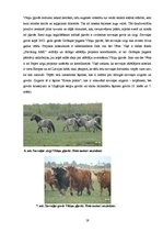 Referāts 'Tūrisma un atpūtas iespējas Grobiņas pilsētā un Grobiņas pagastā', 19.