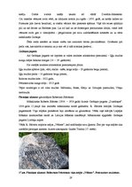 Referāts 'Tūrisma un atpūtas iespējas Grobiņas pilsētā un Grobiņas pagastā', 29.