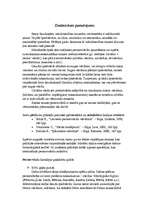 Konspekts 'Vārda un uzvārda izpēte, vēsture', 3.