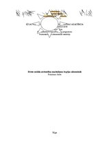 Diplomdarbs 'Bērnu sociālās atstumtības mazināšanas iespējas sākumskolā', 1.