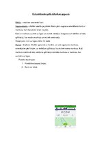 Konspekts 'Orientēšanās skolā - mācīšana, pilnveidošana', 4.