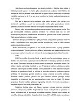 Referāts 'Starptautiskās drošības tiesības', 8.