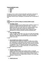 Prezentācija 'Globalizācija', 47.