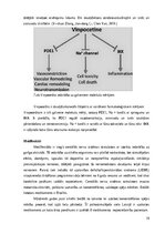 Diplomdarbs 'Nootropo līdzekļu lietošanas tendences studentu vidū', 19.