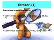 Prezentācija 'Stresa menedžments', 13.