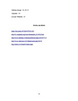 Konspekts 'Aleksandra Čaka bibliogrāfiskais rādītājs', 16.