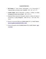 Referāts 'Lietuvas Nacionālā bibliogrāfija', 10.