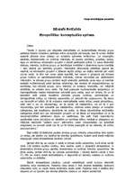 Eseja 'Etnopolitika: konceptuālās aprises', 1.