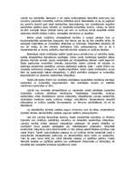 Eseja 'Etnopolitika: konceptuālās aprises', 3.