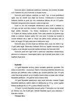 Referāts 'Rīgas dārzu un parku arhitektūra', 5.