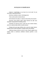 Prakses atskaite 'Prakses atskaite konditorejas izstrādājumu ražošanas uzņēmumā', 24.