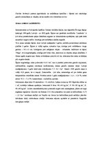 Referāts 'Tritikāles audzēšanas tehnoloģijas un izmantošana', 10.