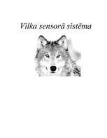 Referāts 'Vilka sensorā sistēma', 1.