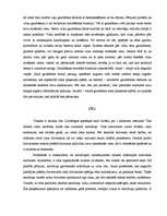 Referāts 'Vilka sensorā sistēma', 7.