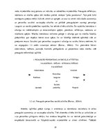 Diplomdarbs 'Klientu apkalpošanas speciālistu neformālā izglītība lietišķajā etiķetē un komun', 25.