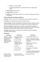 Konspekts 'Ekonomiskā ģeogrāfija', 6.