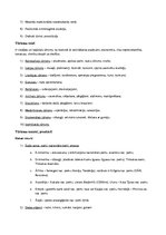 Konspekts 'Ekonomiskā ģeogrāfija', 10.