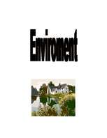 Konspekts 'Enviroment', 1.