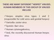 Prezentācija 'Herpes Viruses', 5.