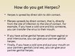 Prezentācija 'Herpes Viruses', 14.
