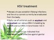 Prezentācija 'Herpes Viruses', 21.