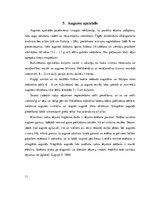 Referāts 'Rudzi', 11.