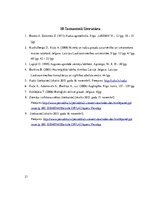 Referāts 'Rudzi', 21.