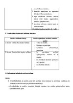 Konspekts 'Vadības grāmatvedības eksāmena jautājumi un atbildes', 7.