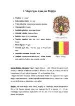 Referāts 'Beļģija un tās sociālie un ekonomiskie rādītāji', 2.